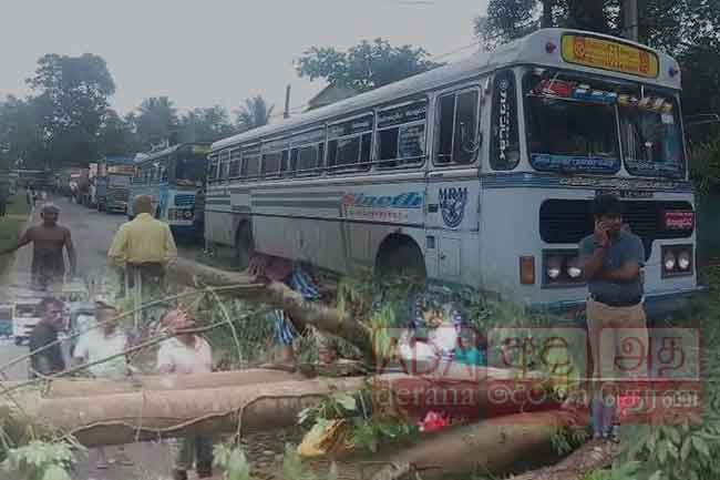 Vehicular movement along Avissawella - Kegalle road restricted due to fallen tree