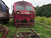 Track damage at Maligawatta Yard causes train delays