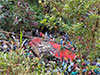 Investigation committee reveals main cause of Kotmale bus accident that killed 23