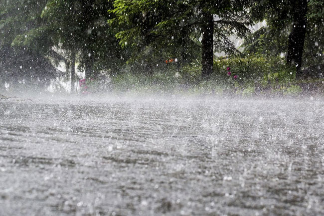 Heavy showers, strong winds expected in several areas