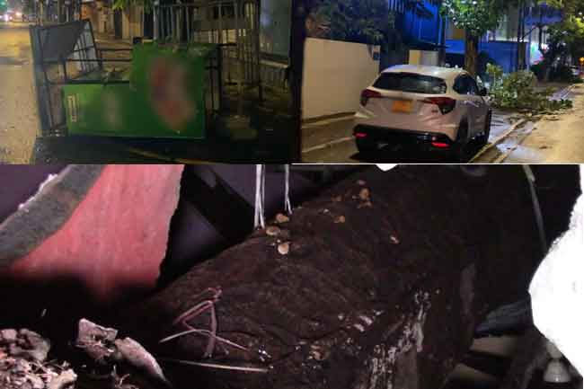 Strong winds cause widespread damage in Colombo