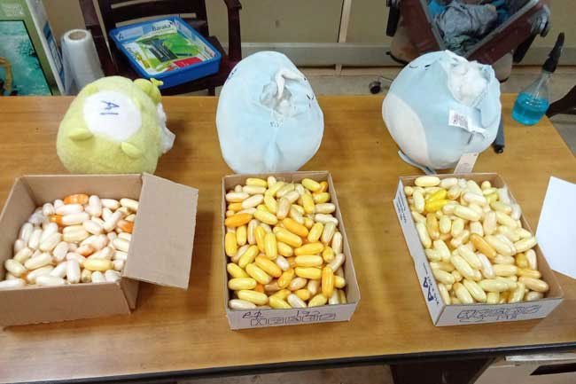 Italian arrested with over 10kg of Cocaine at BIA
