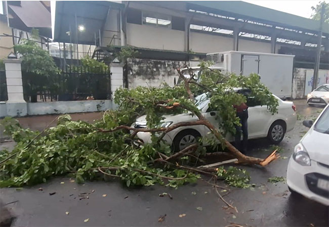 Five injured by fallen trees in Colombo; Several roads blocked