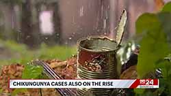 Sri Lanka Medical Association raises concerns  over rapid spread of dengue and chikungunya (English)