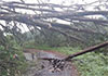 Over 4,600 people affected by adverse weather across Sri Lanka