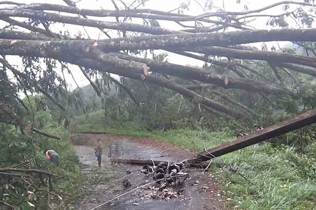 Over 4,600 people affected by adverse weather across Sri Lanka