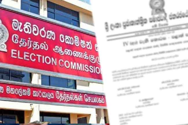 Names of elected LG members and nominees gazetted 