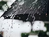 Prevailing showery conditions to reduce from tomorrow