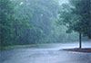 Prevailing showery conditions to reduce from today