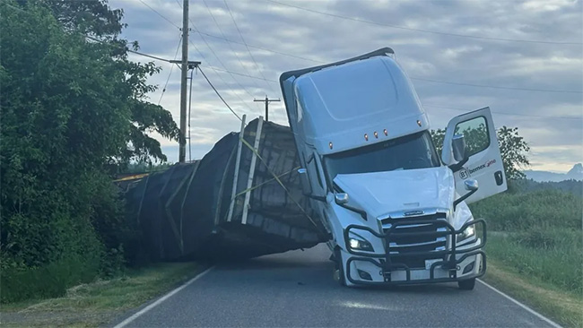 Warning after millions of bees escape overturned truck in US