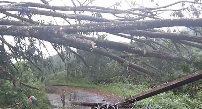 Showers expected to continue; nearly 10,000 still affected by adverse weather