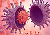 Novel SARS-CoV-2 variants not detected in Sri Lanka: Health Secretary