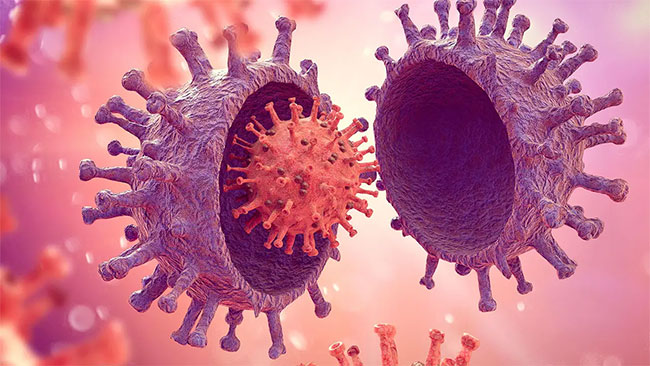 Novel SARS-CoV-2 variants not detected in Sri Lanka: Health Secretary