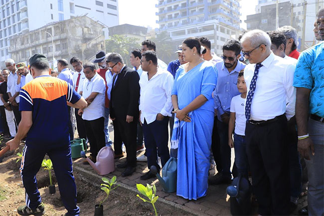 Tree planting project along Colombos Marine Drive commences 