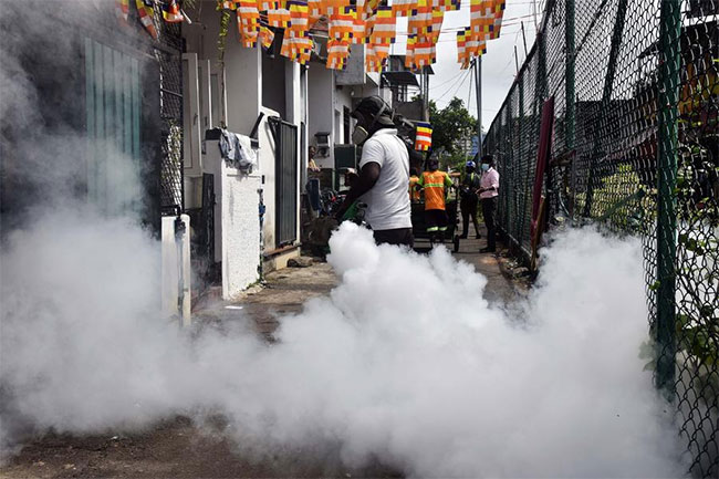 Dengue cases surge past 6,000 in Sri Lanka in May as monsoon season begins