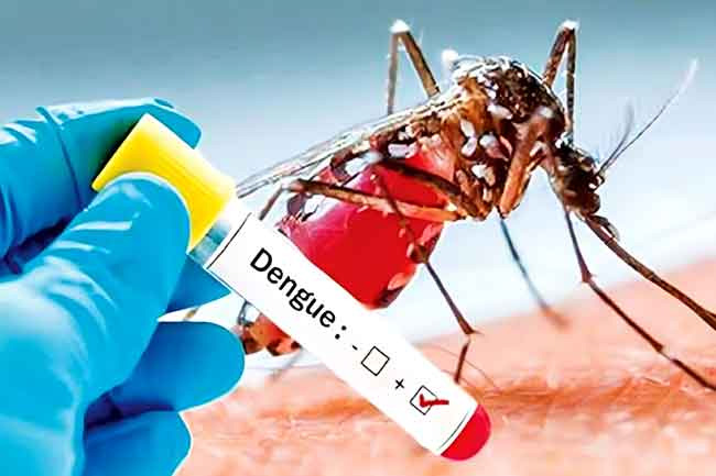 Education Ministry issues instructions to prevent dengue and chikungunya in schools