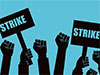 Veterinary surgeons launch token strike