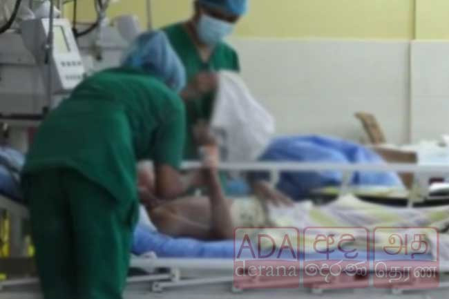 Health Ministry warns of rising ‘rat fever’ cases