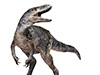 New species of dinosaur discovered that rewrites T.rex family tree