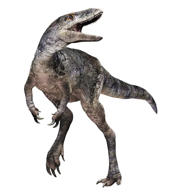 New species of dinosaur discovered that rewrites T.rex family tree