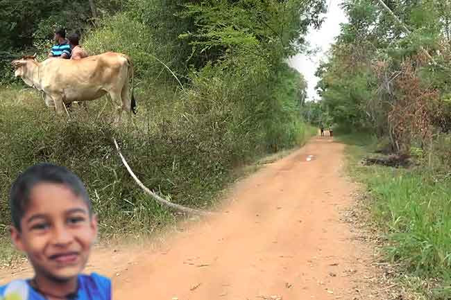 9-year-old dies after becoming entangled in rope tied to cattle