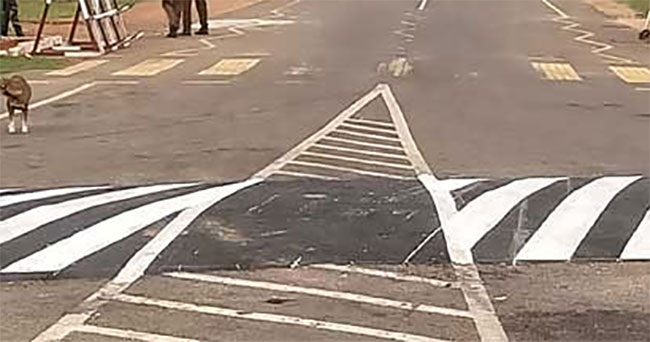 Teen arrested over fatal accident on pedestrian crossing