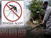 Mosquito control week to be implemented across 16 districts