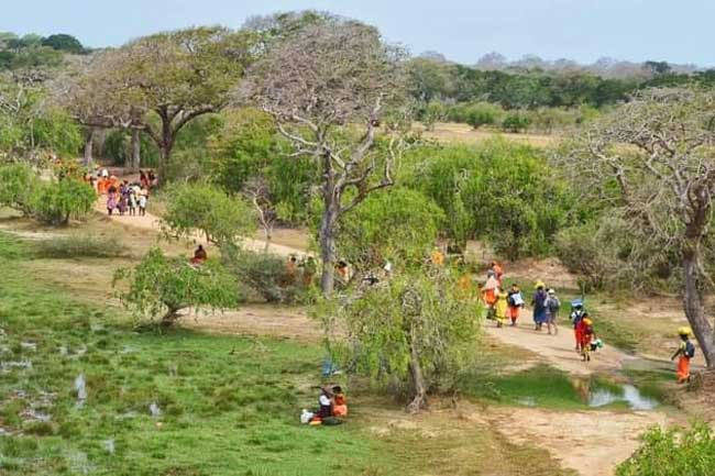Kumana entrance of Yala National Park to open tomorrow for Kataragama pilgrimage season