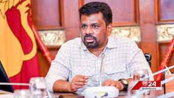 Sri Lanka's FDI records 90% increase in first quarter 2025 (English)