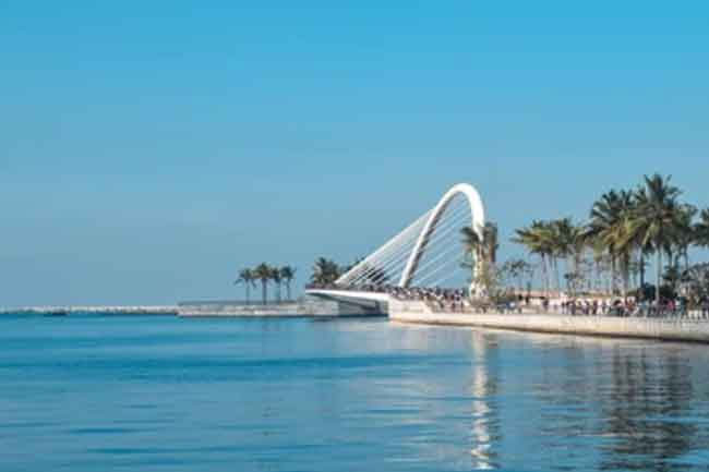 Uni. student reported missing while swimming at Colombo Port City beach