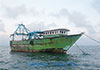 Eight Indian fishermen arrested for poaching in seas off Mannar