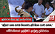 අලිවැටත් එක්ක අලි කොරිඩෝවක් 