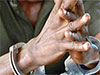 Drug trafficker with open warrant arrested in Kalutara North