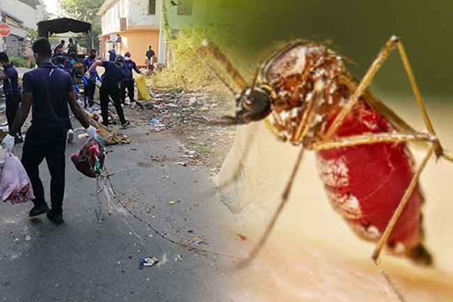 National mosquito control week commences