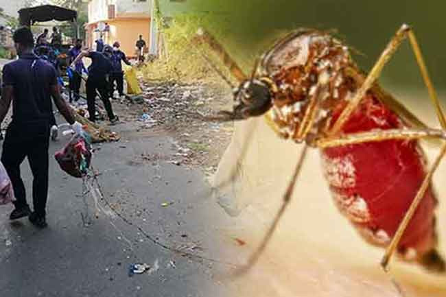  Over 22,000 premises inspected on day 2 of Mosquito Control Week