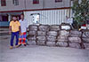 Three arrested with 900kg of Kerala ganja and firearms in Wennappuwa