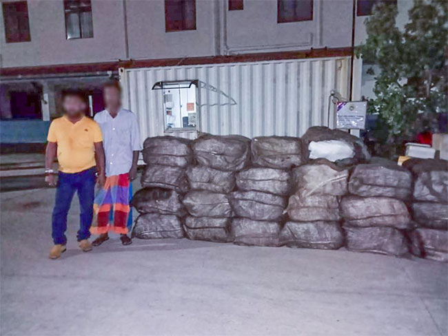 Three arrested with 900kg of Kerala ganja and firearms in Wennappuwa
