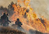 Hundreds evacuated as Greece wildfire rages on Crete