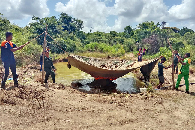 Army assists in treatment of injured tusker Bhathiya