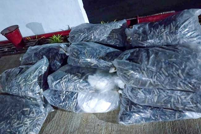 Navy nabs two in Kalladi seas for smuggling dried sea cucumbers