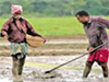 Payment of monthly pension to farmers to resume from this month