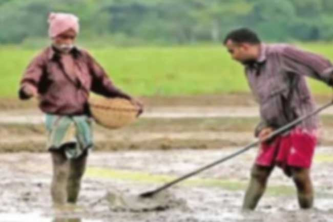 Payment of monthly pension to farmers to resume from this month