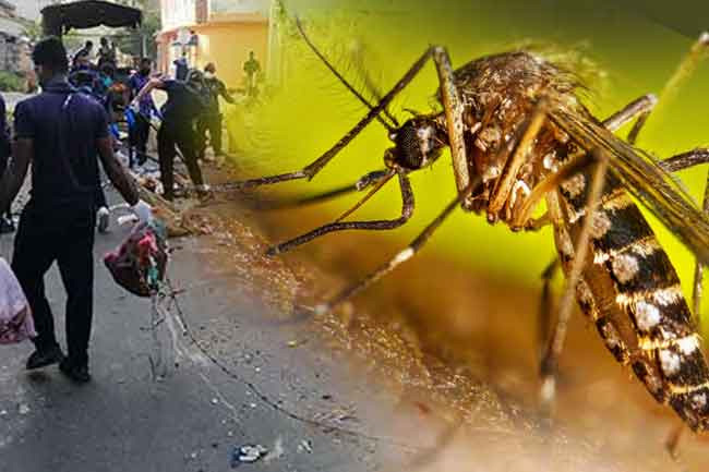 Over 3,800 red notices issued during Mosquito Control Week