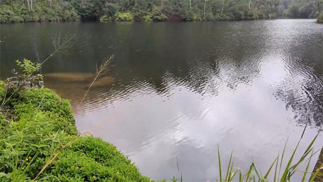 Youth missing after falling into Singimale Reservoir while taking photographs
