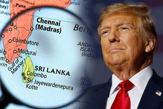 Sri Lanka gets largest US tariff cut, says Deputy Foreign Minister