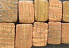 Kerala cannabis valued over Rs. 15 mn seized in Jaffna