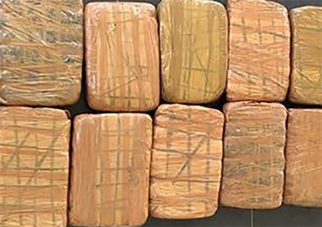 Kerala cannabis valued over Rs. 15 mn seized in Jaffna