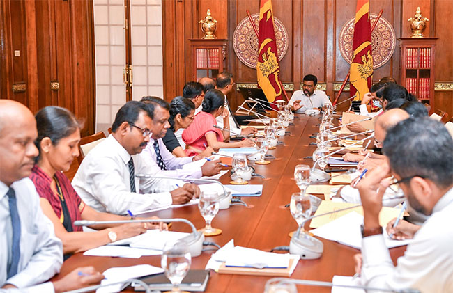 President holds 2026 pre-budget discussions with FinMin officials