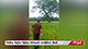 Newborn infant found abandoned in paddy field in Paragahadeniya