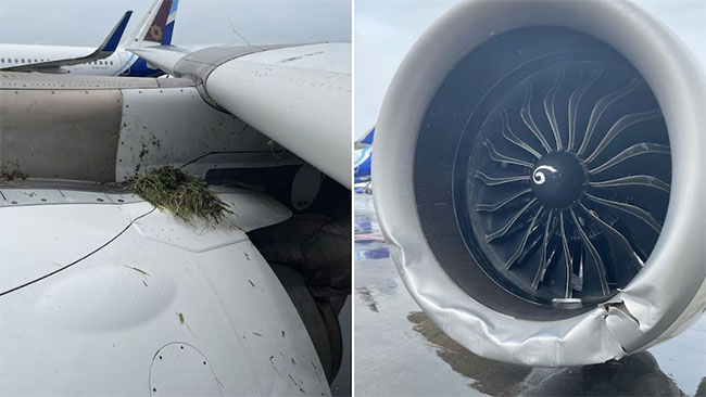 Mumbai-bound Air India flight skids off runway during landing amid heavy rainfall